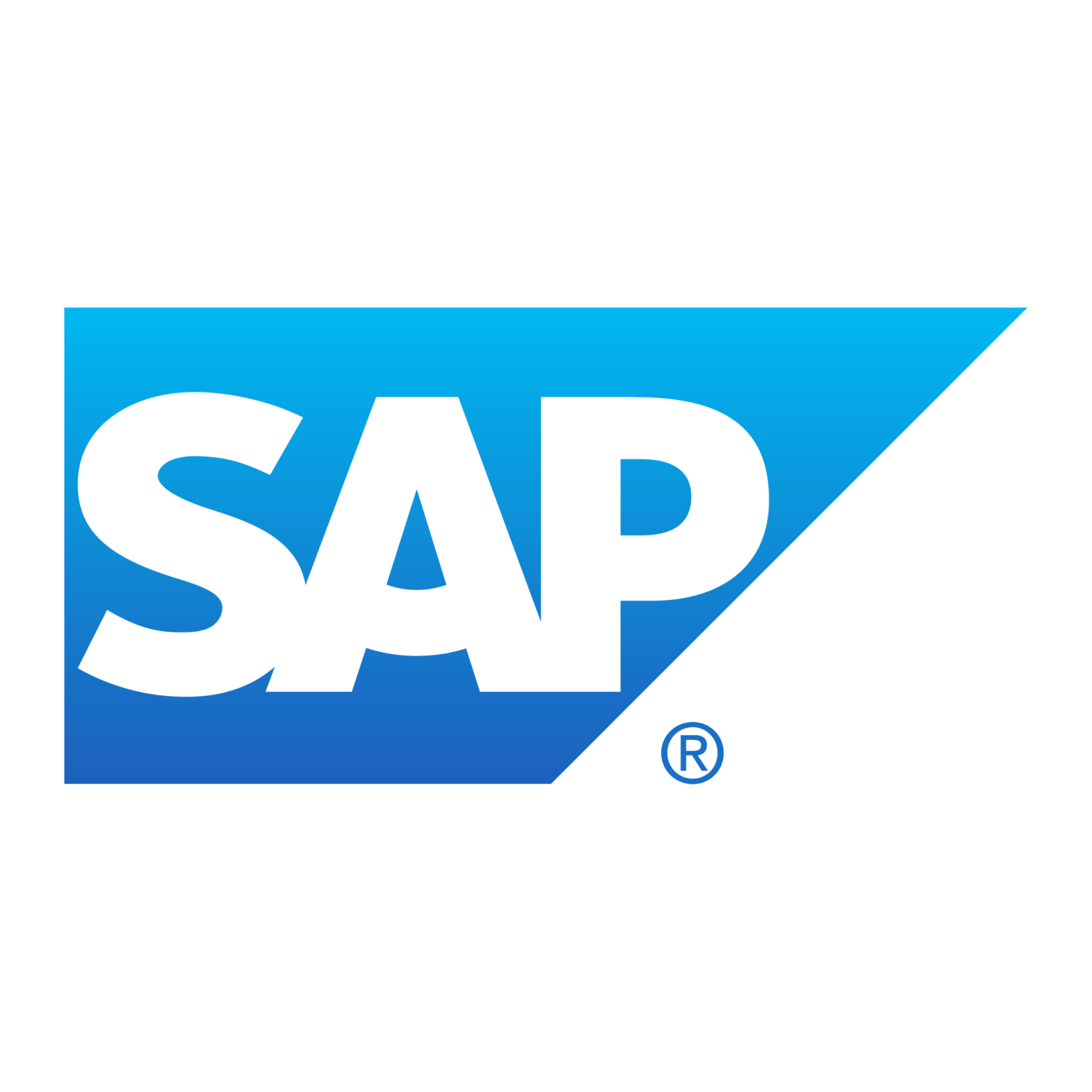 1 SAP atomation RPA automatiacion